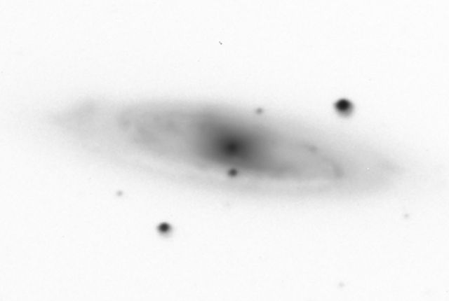 NGC 3623.jpg